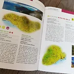 住宿加早餐酒店 Dafne 阿杰罗拉