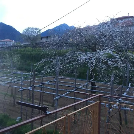 Bed & Breakfast Dafne Agerola