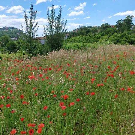 Bed & Breakfast Dafne